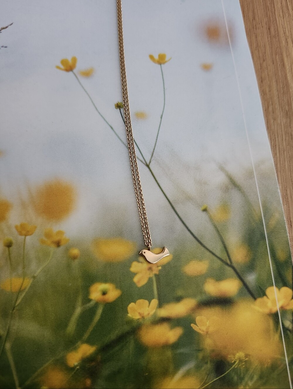 NWOT Minor Obsession 14k Bird Necklace 16"